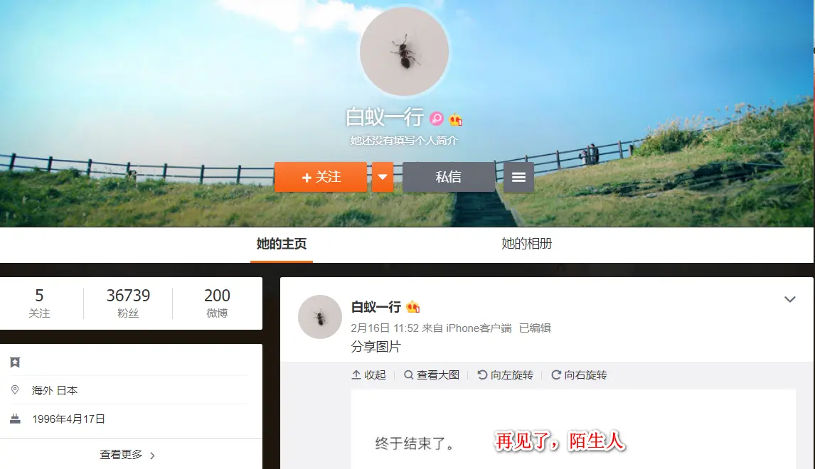 白蚁一行.png